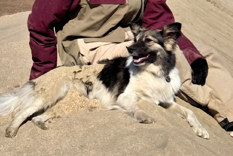 ���������� ��������, ������������� ������, ����������� �� 55 ����� ������